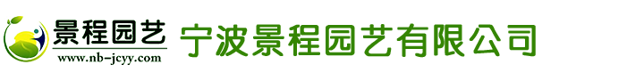 谷歌推廣